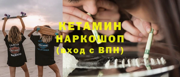 индика Гусь-Хрустальный