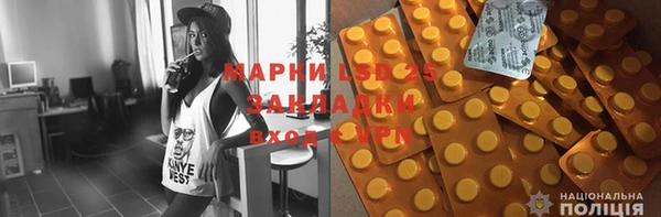 индика Гусь-Хрустальный