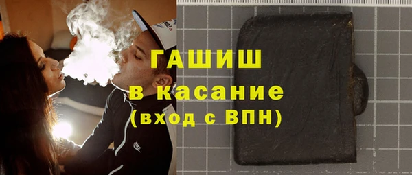 индика Гусь-Хрустальный