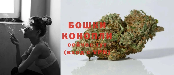 индика Гусь-Хрустальный