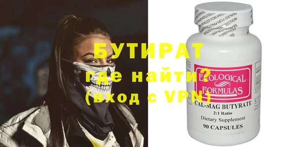 индика Гусь-Хрустальный