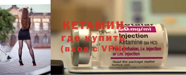 индика Гусь-Хрустальный