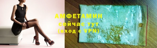 индика Гусь-Хрустальный