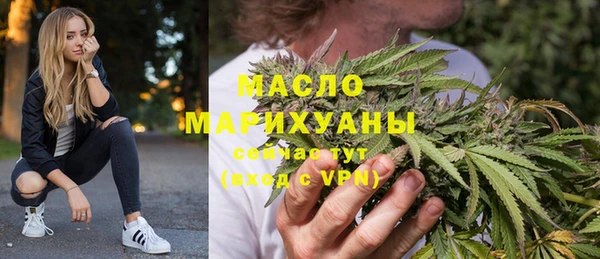 индика Гусь-Хрустальный
