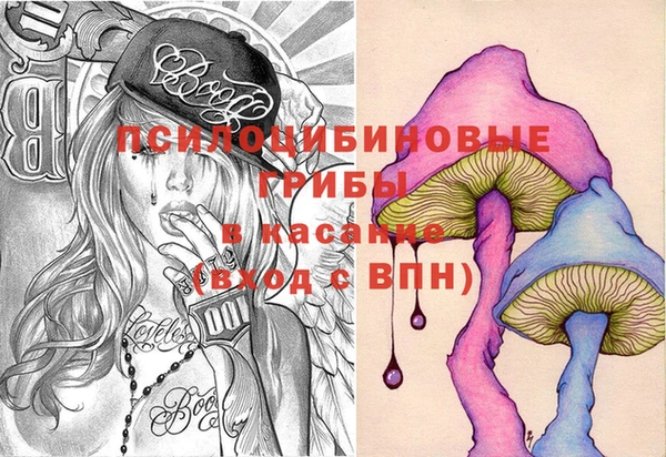 индика Гусь-Хрустальный