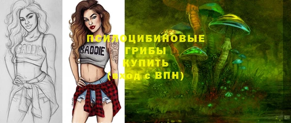 индика Гусь-Хрустальный