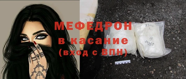индика Гусь-Хрустальный