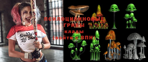 мяу мяу мука Гусев