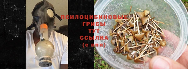 мяу мяу мука Гусев