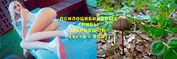 индика Гусь-Хрустальный