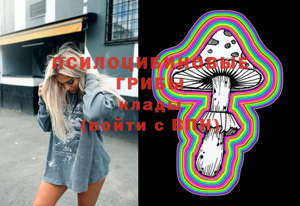 мяу мяу мука Гусев