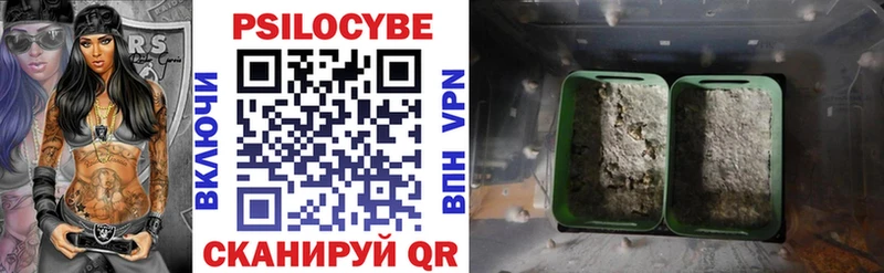 Купить  Норильск  Галлюциногенные грибы Psilocybe 